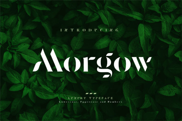 Morgow: A Minimalist Display Font for Modern Editorial Design