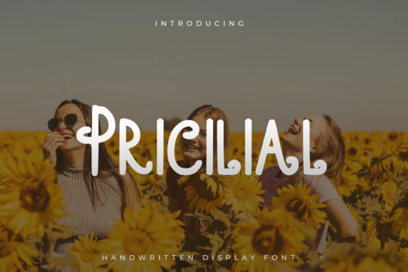 Pricilial: The Quirky Display Font That Elevates Campaigns